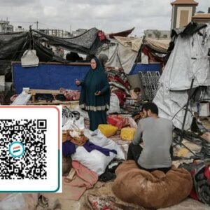 Shelter Setup Service